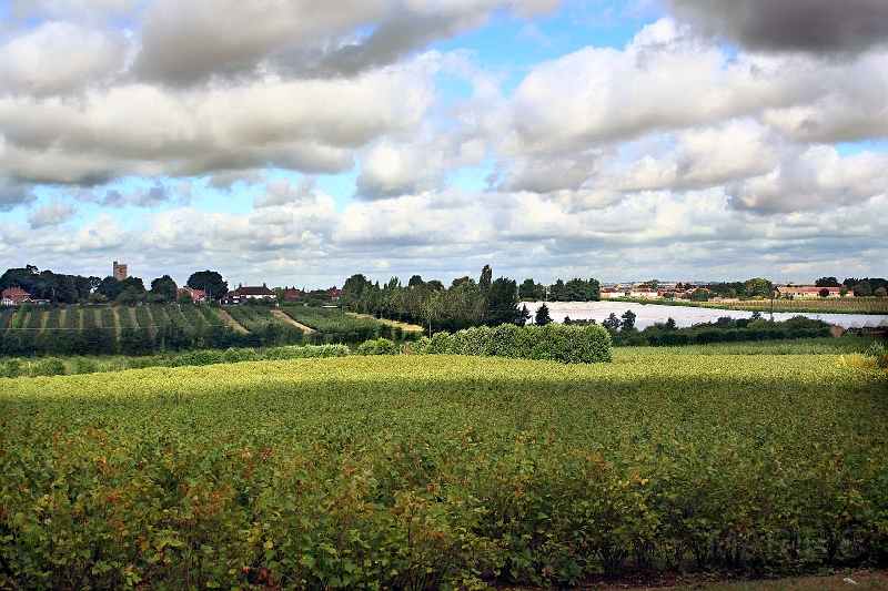Hernhill from Thread Lane.jpg